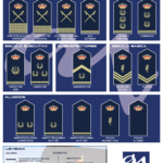 Divisas por escalas y categorías de la policia nacional